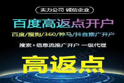 谷歌SEM与移动端优化：某APP的推广策略及效果